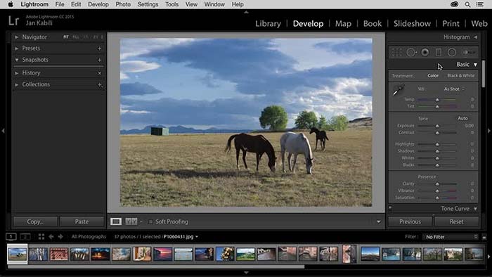 Adobe Lightroom Classic